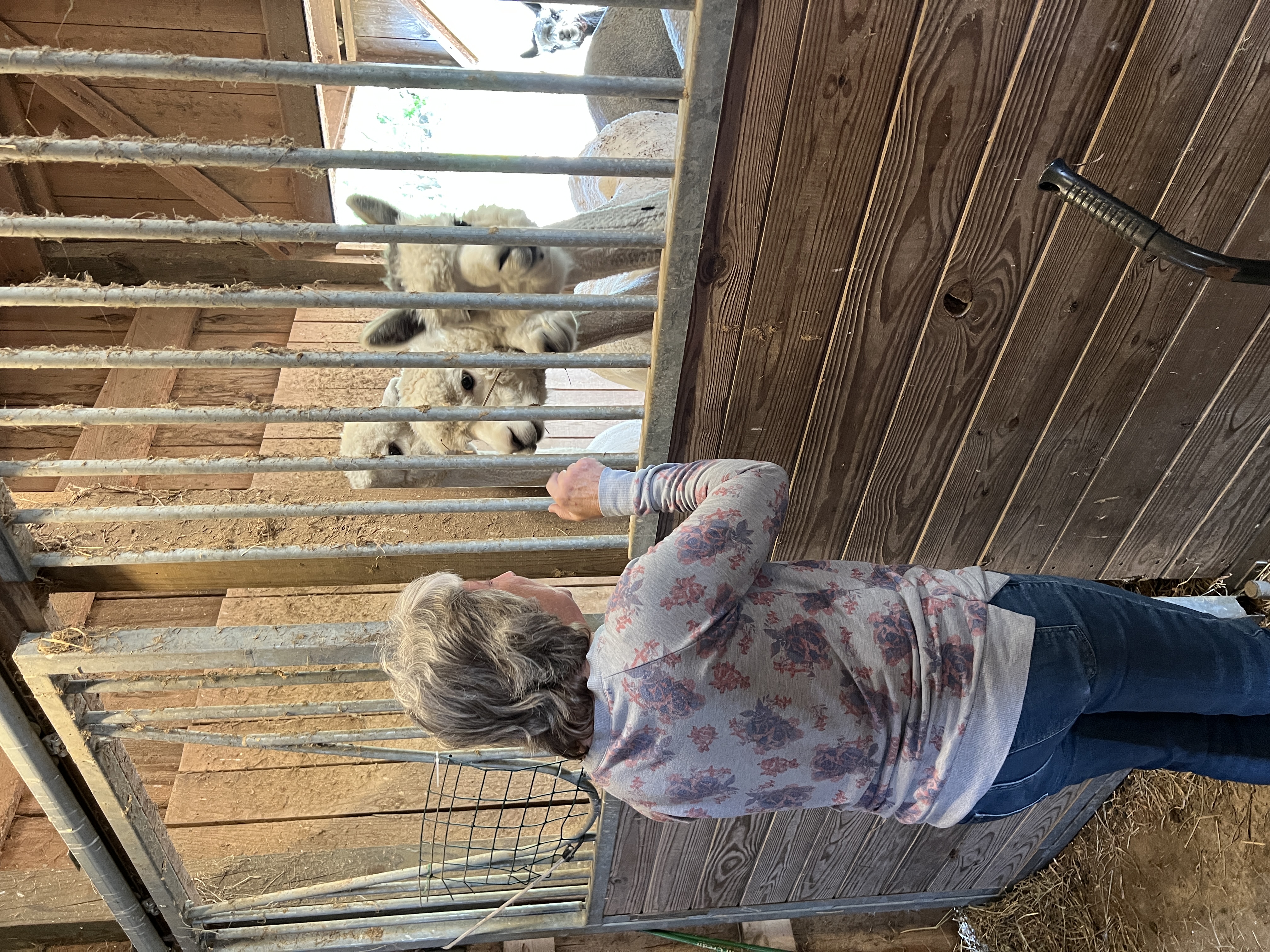 ./2025/04 - Virginia Creeper/IMG_5591.JPG